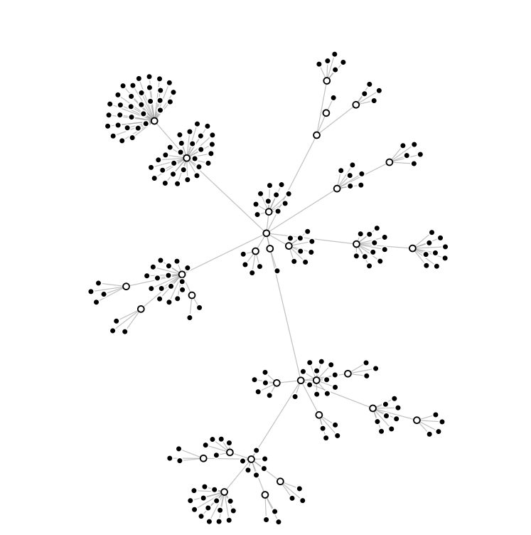 network graph